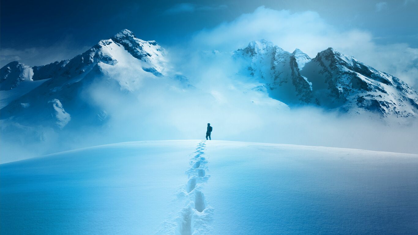 POLAR CAPITAL FUNDS PLC visual data 8